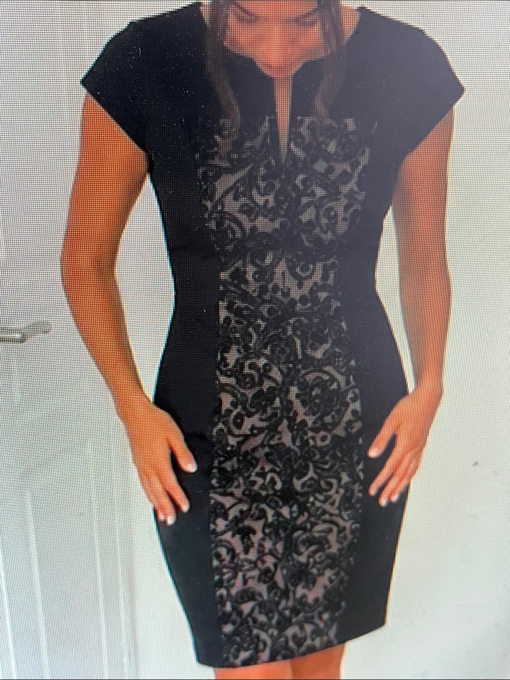 Vestido Elegante Entallado Con Panel Bordado